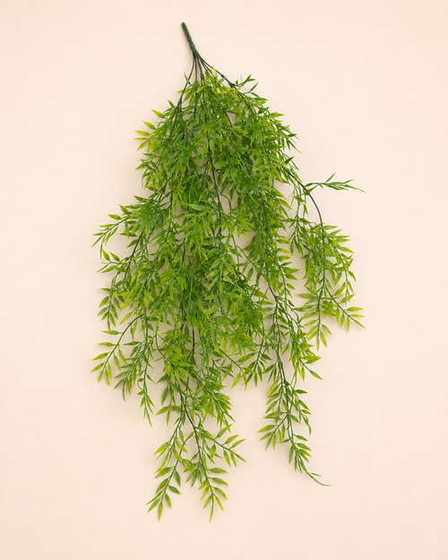 Asparagus artificielle — 105 cm